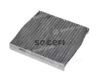 Coopers Fiaam PCK8084
