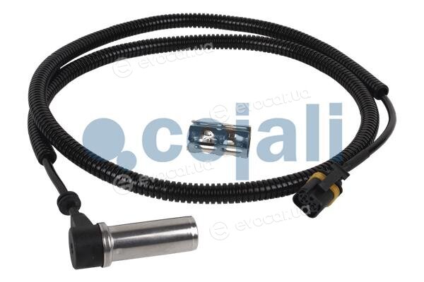 Cojali 2261156