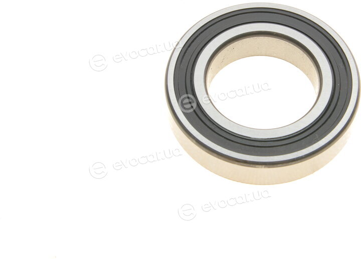 SKF 6007-2RS1