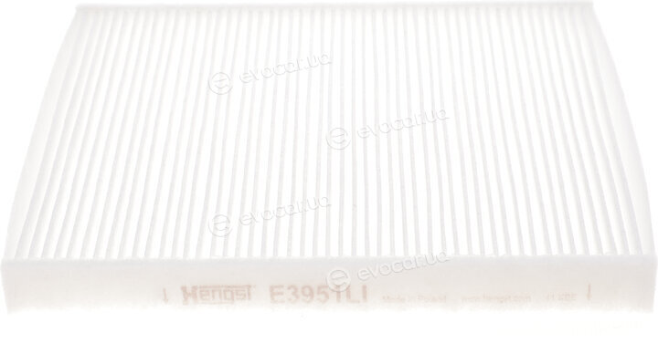 Hengst E3951LI
