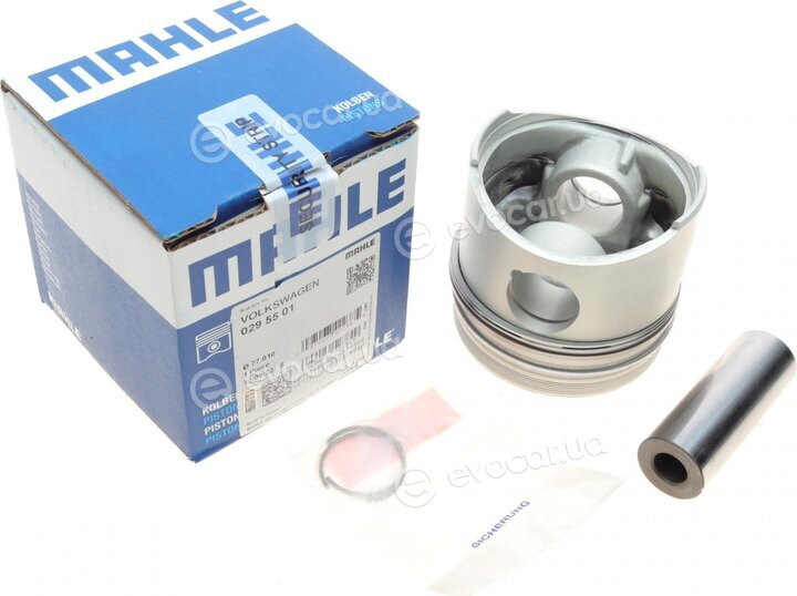 Mahle 029 55 01