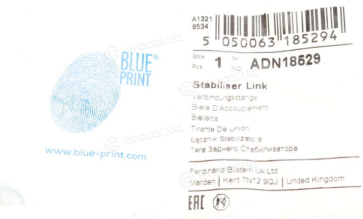 Blue Print ADN18529