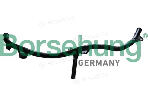 Borsehung B11997