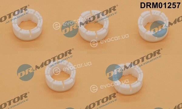 Dr. Motor DRM01257