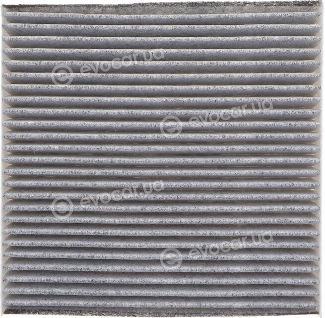 Solgy 104129