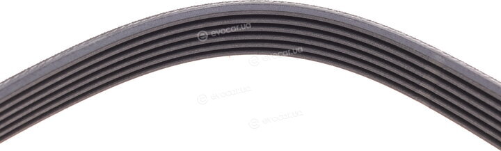 Continental 6PK2170