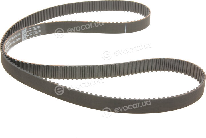 Gates K015537XS