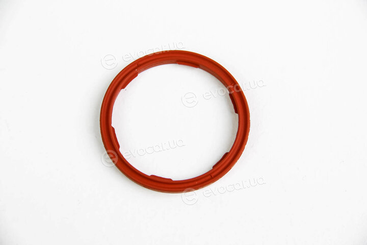 Elring 301.540