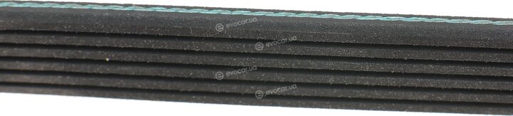Blue Print AD06R1836