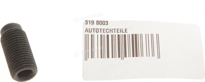 Autotechteile 319 8003