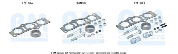 BM Catalysts FK91263