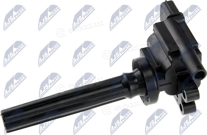 NTY ECZ-MS-001