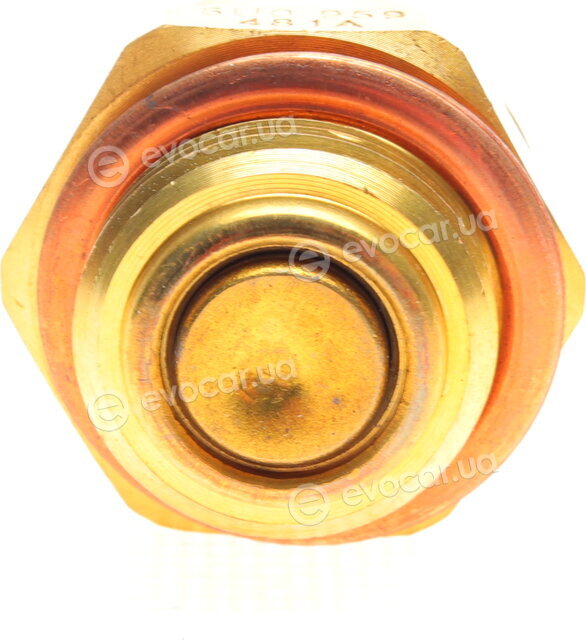 Borsehung B18290