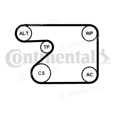 Continental 5 PK 1680 K1