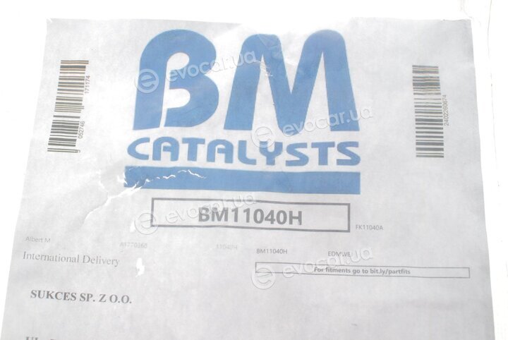 BM Catalysts BM11040H