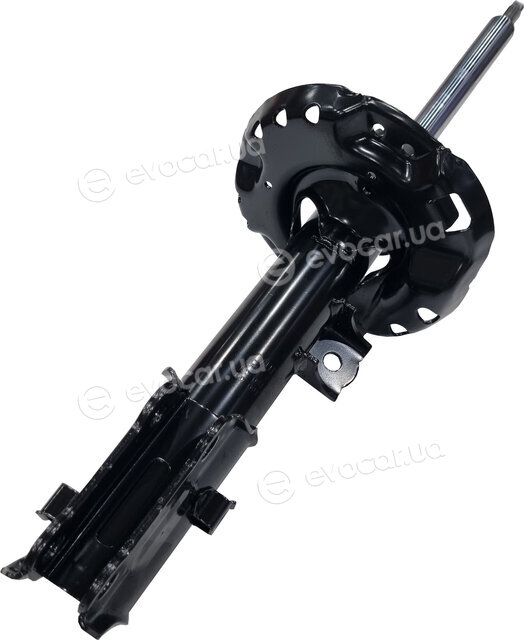 CTR GY1556G