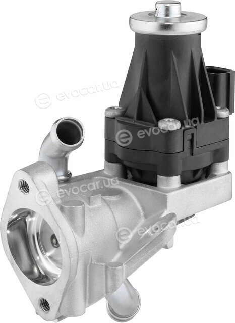 Wahler / BorgWarner 710979D