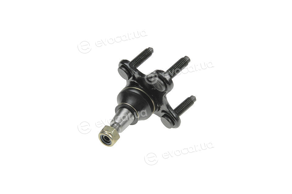 NTY ZSD-VW-010