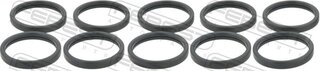 Febest RINGWH-017-PCS10