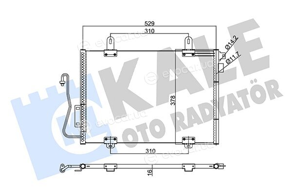 Kale 342810