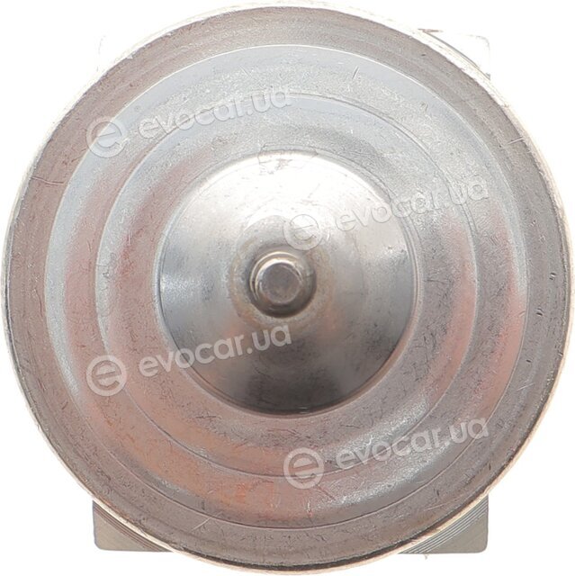 NRF 38503