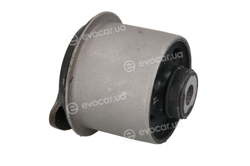 Tedgum TED45338