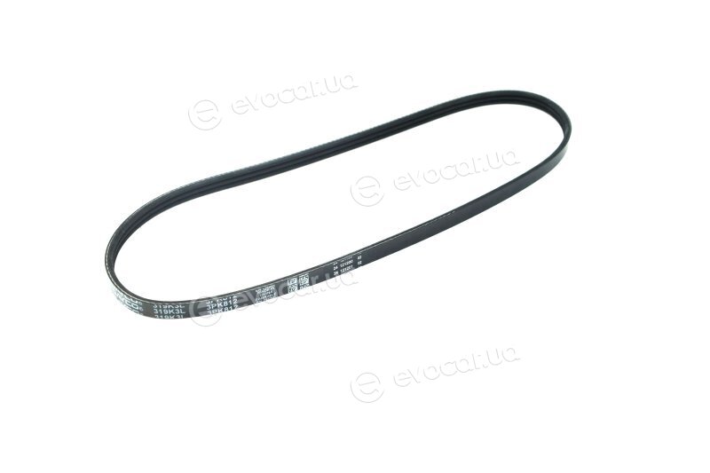 Dayco 3PK812