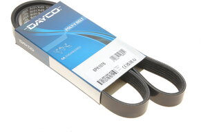 Dayco 6PK1076