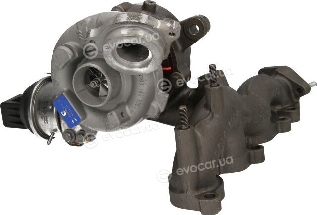 BorgWarner 53039880205/R