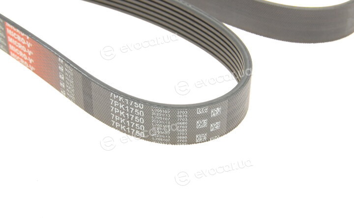 Gates 7PK1750