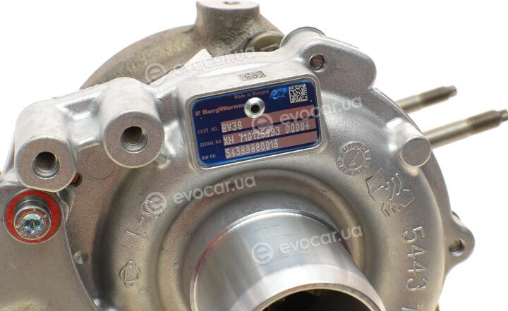 BorgWarner 54389880018