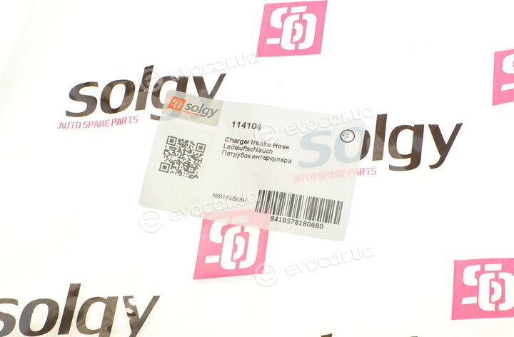 Solgy 114104