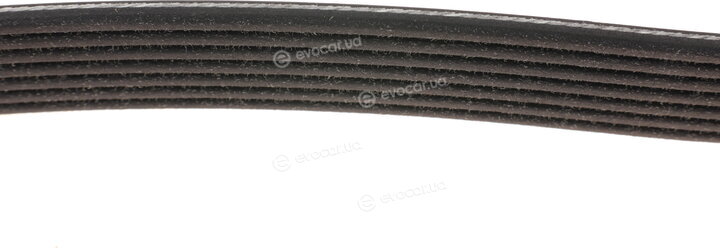 Dayco 7PK1853