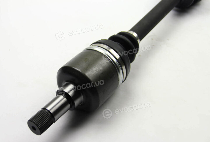 BGA DS1401L