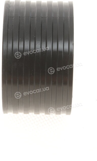 Gates K035550XS