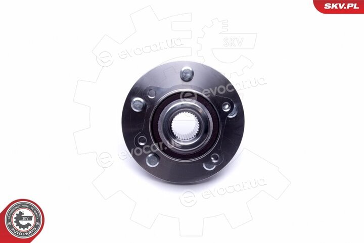 SKV 29SKV393