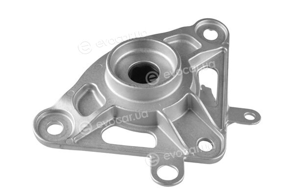 Tedgum TED49795