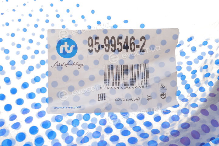RTS 95-99546-2