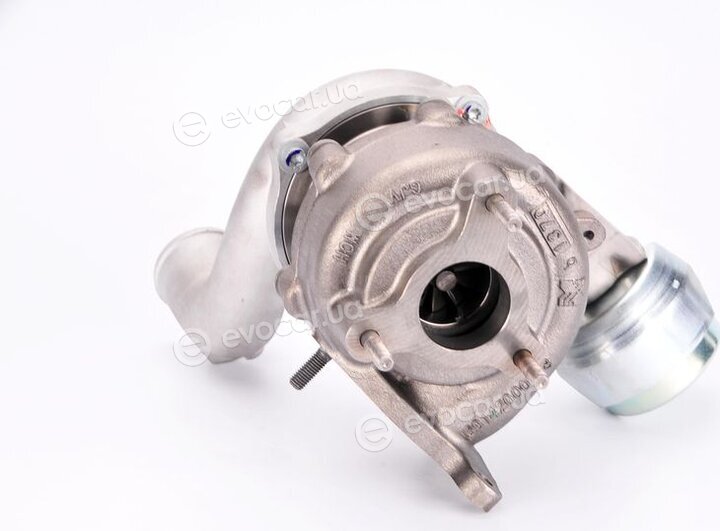 BorgWarner 53039880196