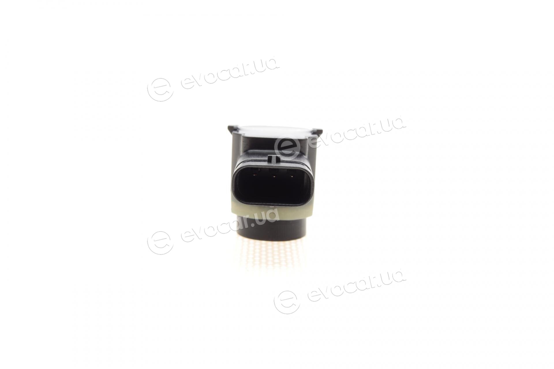 AIC 54434
