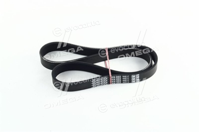 Dayco 6PK892