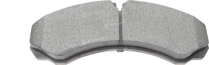 Solgy 209003