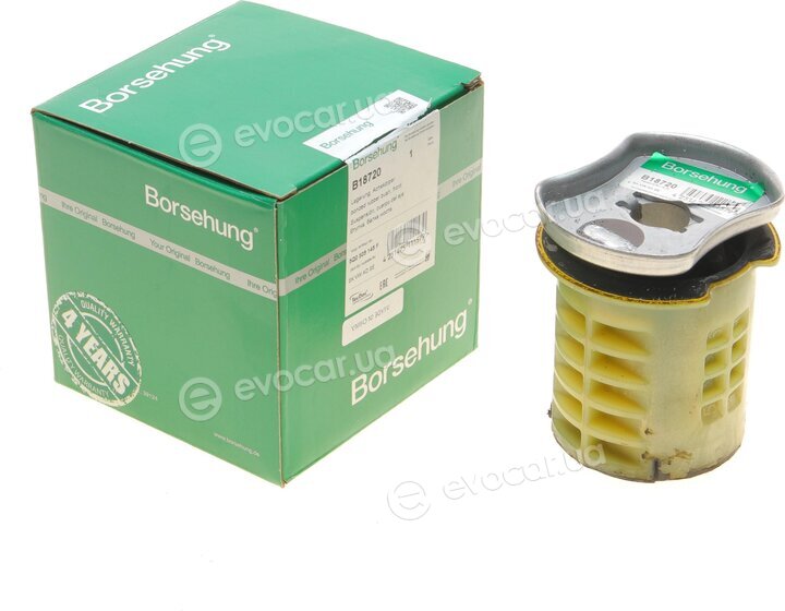 Borsehung B18720