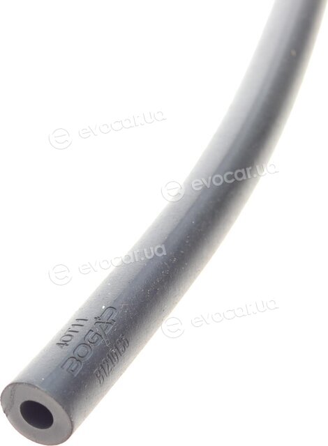 Bogap B1210136