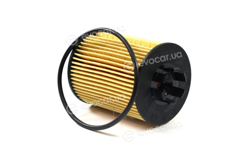 Mahle OX 173/2D