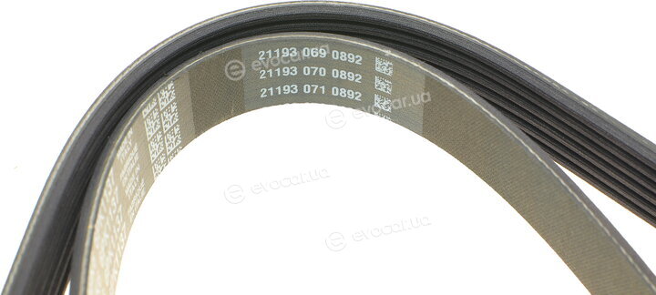 Dayco 6PK1137