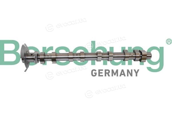 Borsehung B11320