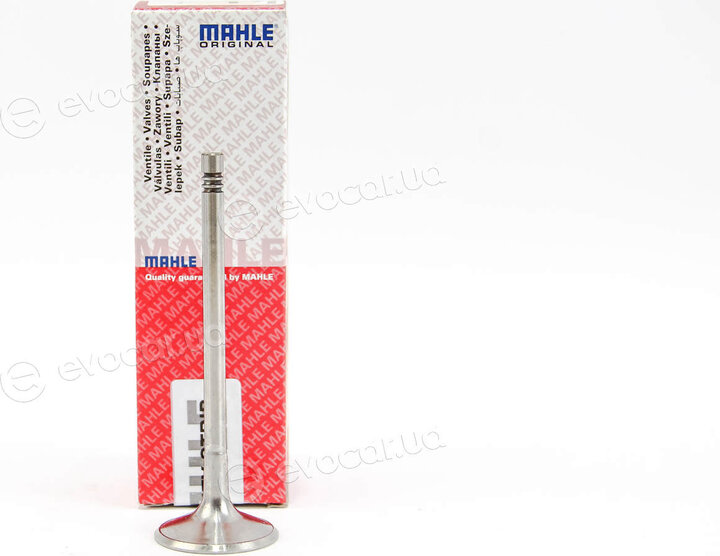 Mahle 029 VE 31100 000