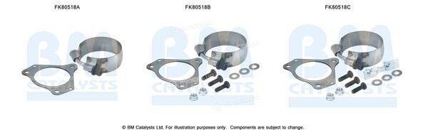 BM Catalysts FK80518