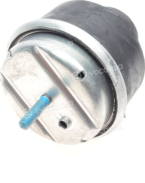 Borsehung B12233